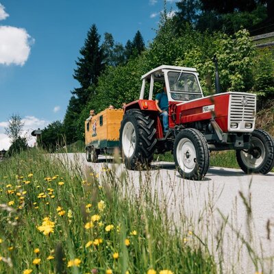Fun tractor rides for children around the scenic farmhouse.