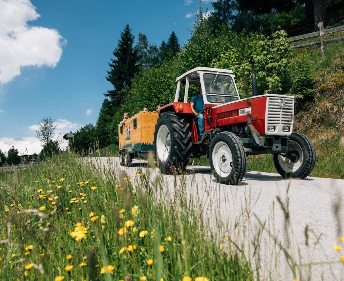 Fun tractor rides for children around the scenic farmhouse.