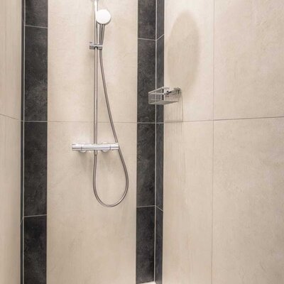 The shower, featuring a rain shower head, a handheld shower, and a shower caddy.