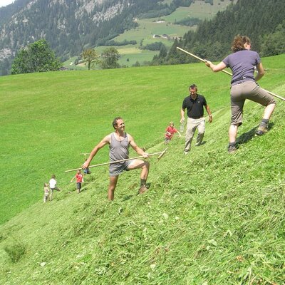Guests helping with stacking the hay