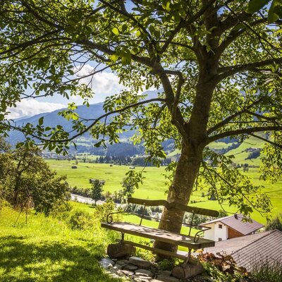 A shaded wooden bench at the Farm House with views of the green valley and mountains.