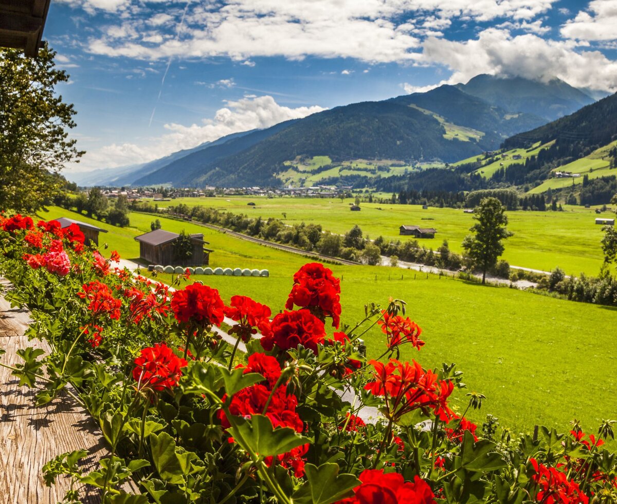 View from the Farm House balcony, featuring red geraniums and overlooking green fields and mountains.