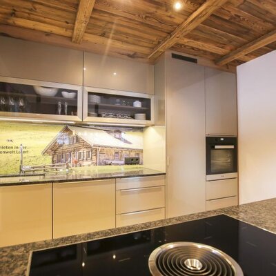 Modern kitchen in the Bed and Breakfast with an induction hob, oven, and a sink with a backsplash depicting an almhut, under a wooden ceiling.