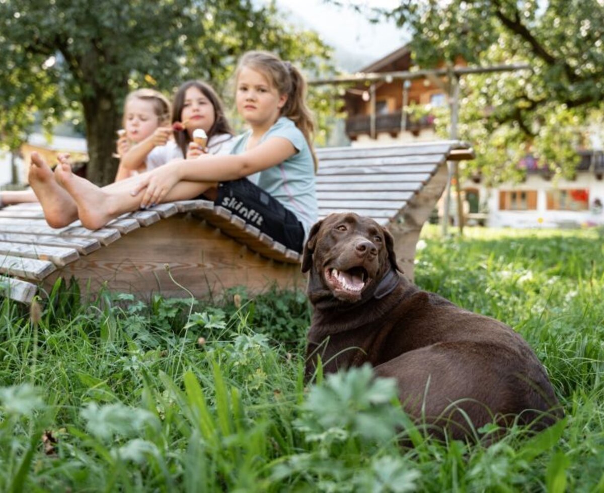 Three children enjoy ice cream on a wooden lounge chair in the garden of the organic farm, with a dog in the grass.
