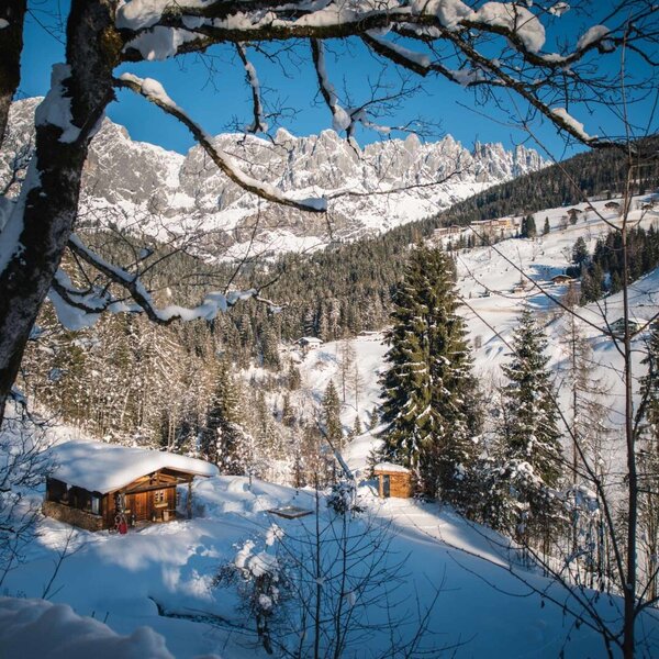 View of the farmhouse's snow-covered surroundings, featuring a wooden hut, pine trees, and distant mountains.