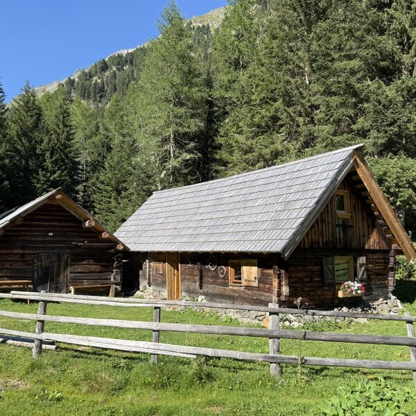 The rustic wooden cabins of the bed and breakfast, nestled in a lush green meadow against a backdrop of dense pine forest.
