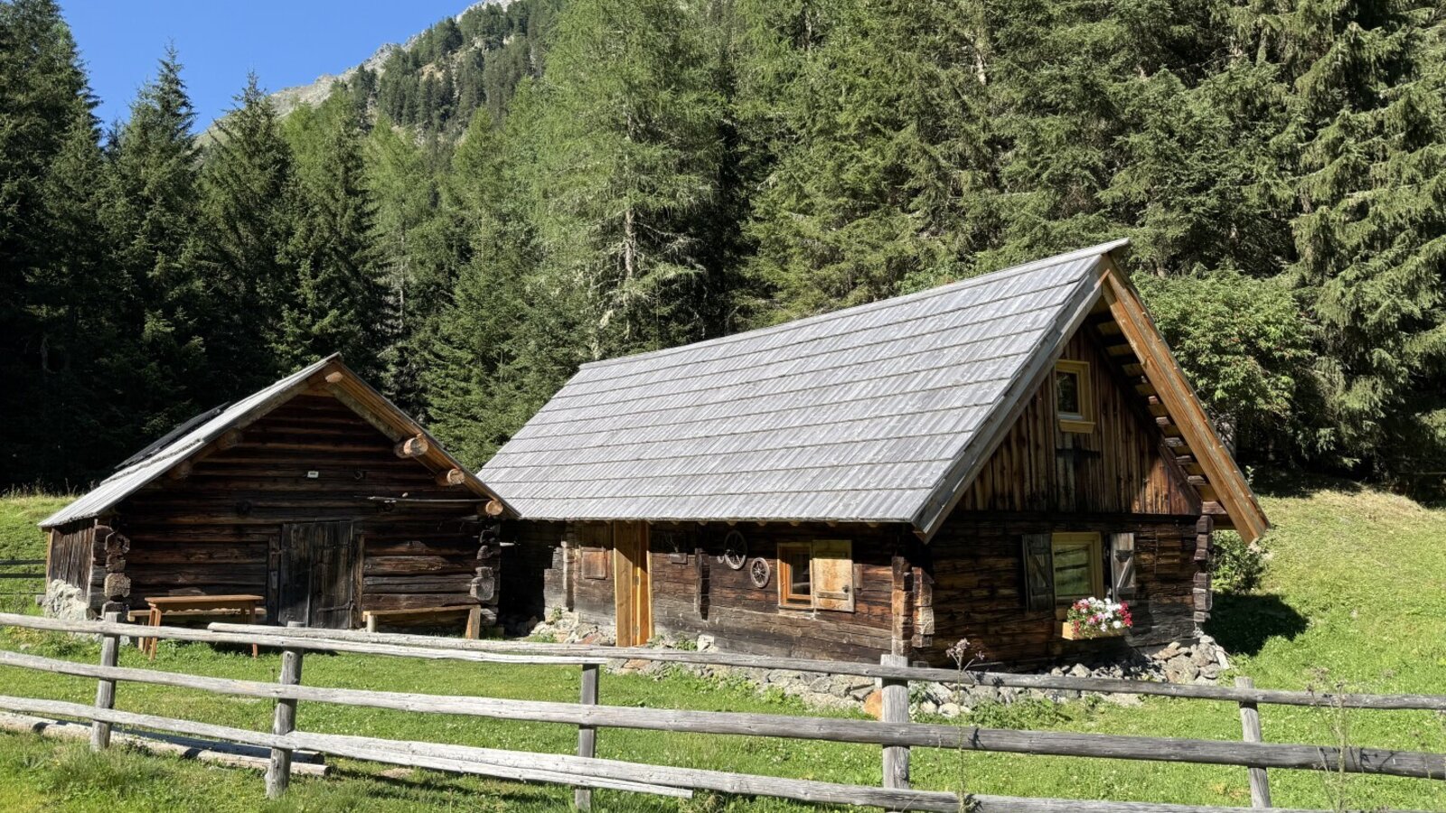 The rustic wooden cabins of the bed and breakfast, nestled in a lush green meadow against a backdrop of dense pine forest.