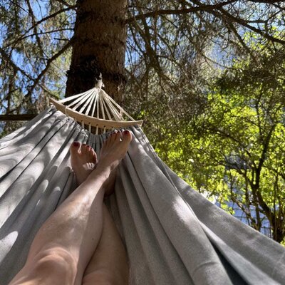 An inviting hammock suspended under shady trees in the bed and breakfast's garden.