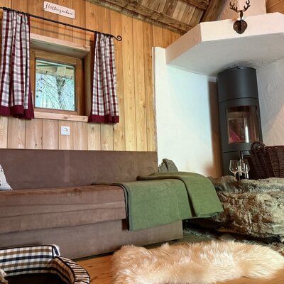 Cozy living area of the bed and breakfast, featuring an inviting sofa, rustic wood-paneled walls, and a warming fireplace.