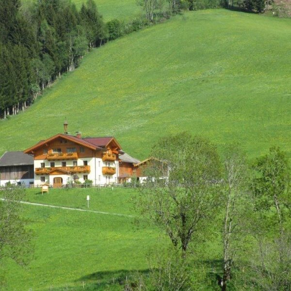 The Farm House exterior, featuring wooden balconies and situated on a green hillside bordered by trees.