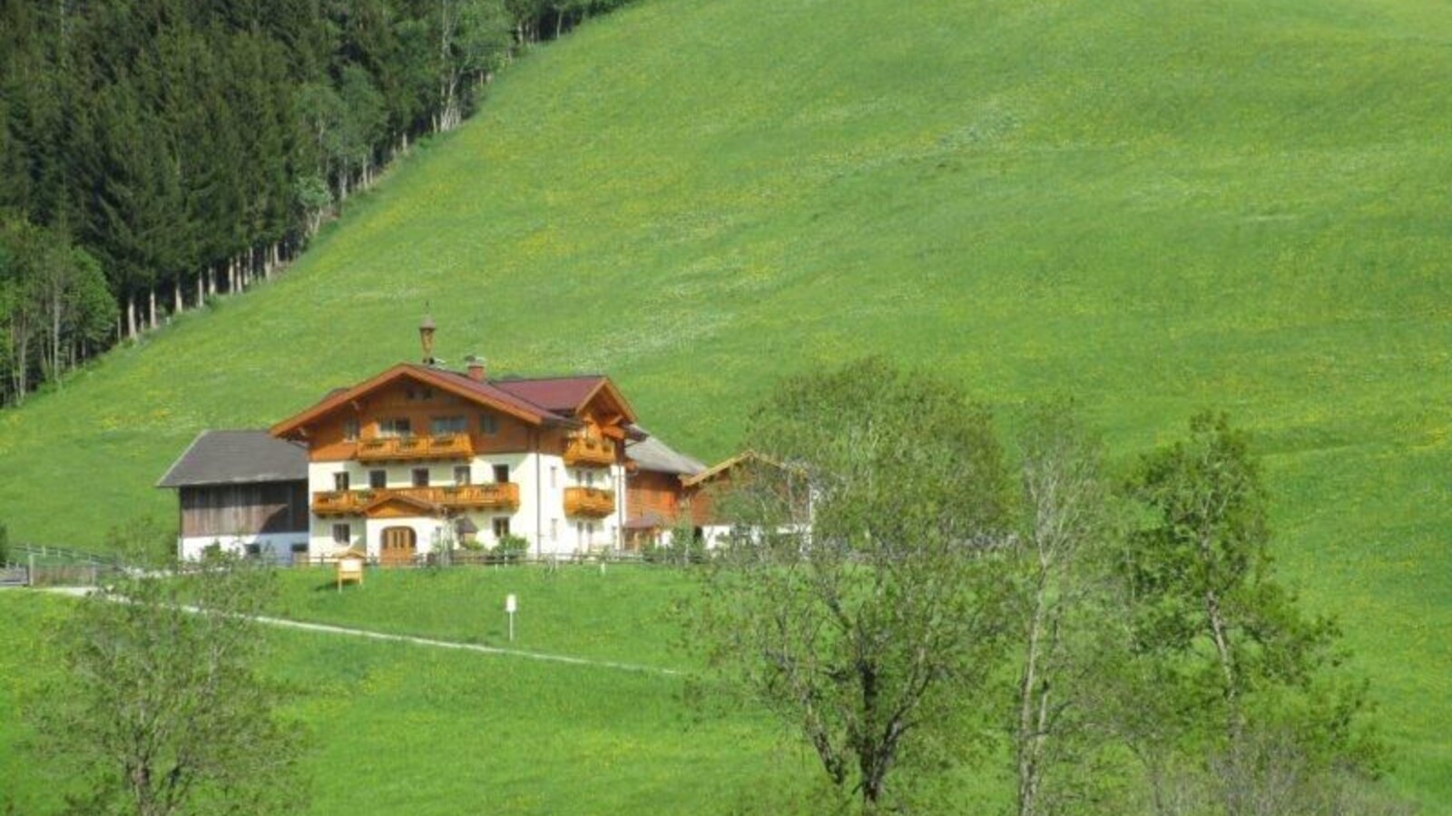 The Farm House exterior, featuring wooden balconies and situated on a green hillside bordered by trees.