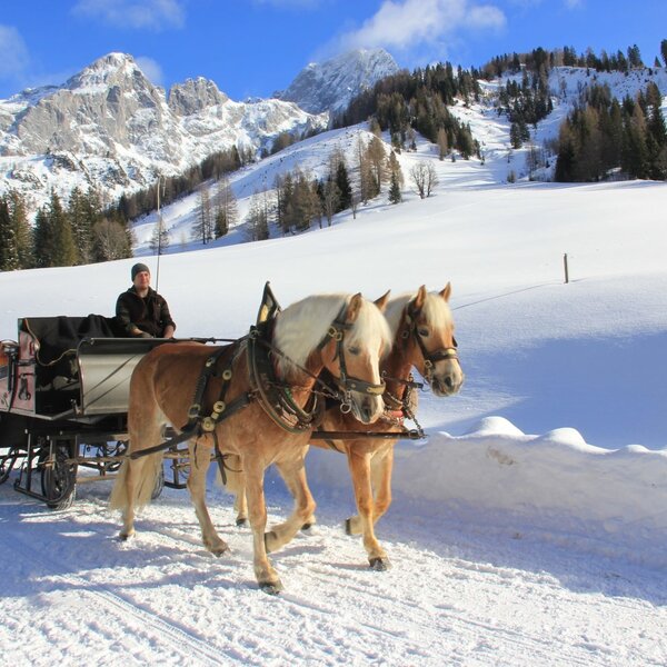 A horse-drawn sleigh ride through a snowy mountain landscape, available for guests of the farmhouse.