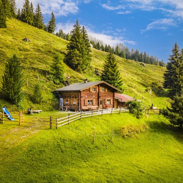 The farmhouse exterior, a log cabin structure on a grassy hillside, surrounded by pine trees and featuring a children's slide.