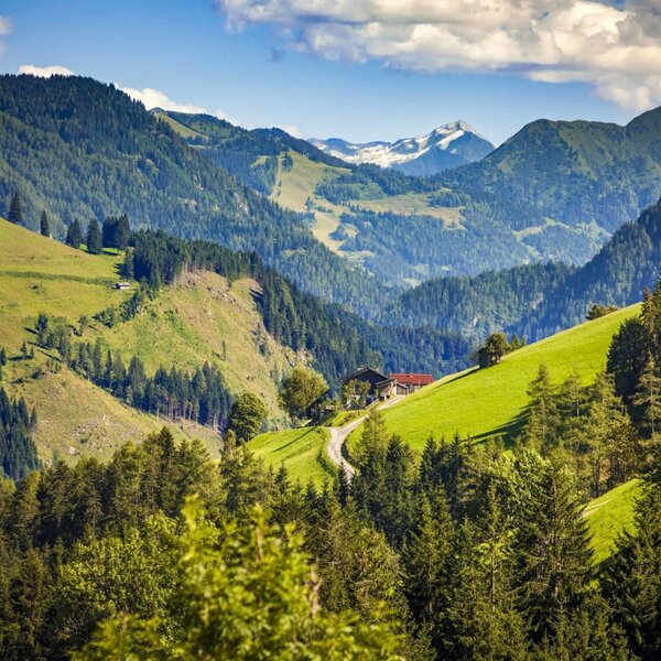 The farm house is located on a green mountain slope, surrounded by pine forests and offering views of the distant Hochkönig mountains.