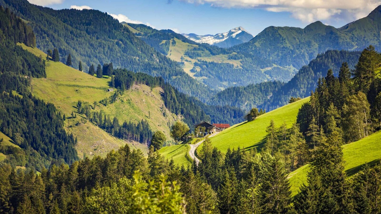The farm house is located on a green mountain slope, surrounded by pine forests and offering views of the distant Hochkönig mountains.