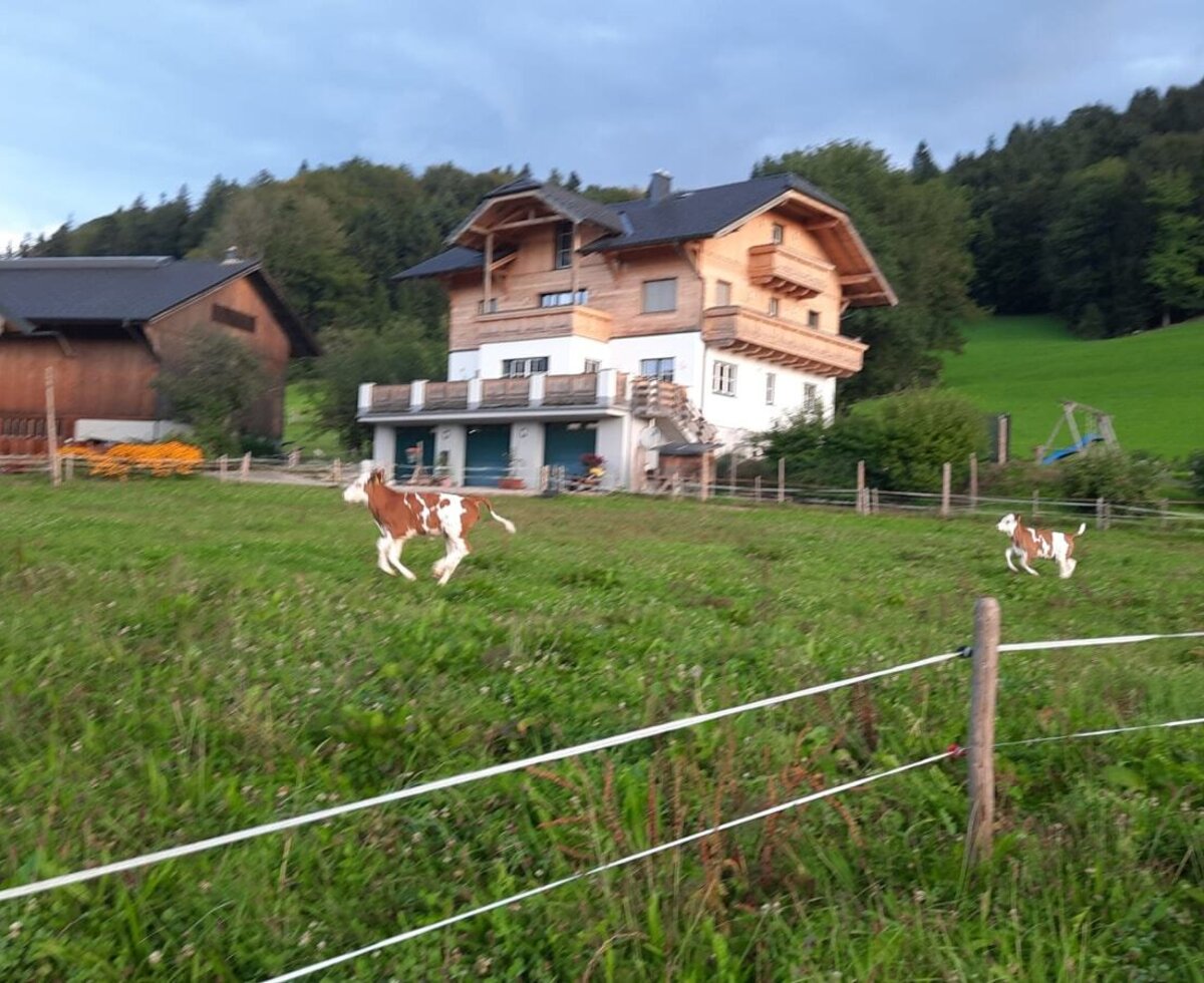 The new farmhouse was occupied in 2013. The holiday apartment has been available since 2026.