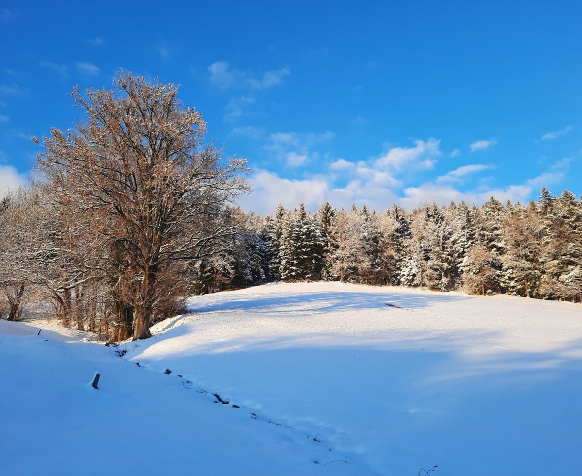 Magnificent winter landscape - the sledding hill is directly behind the house