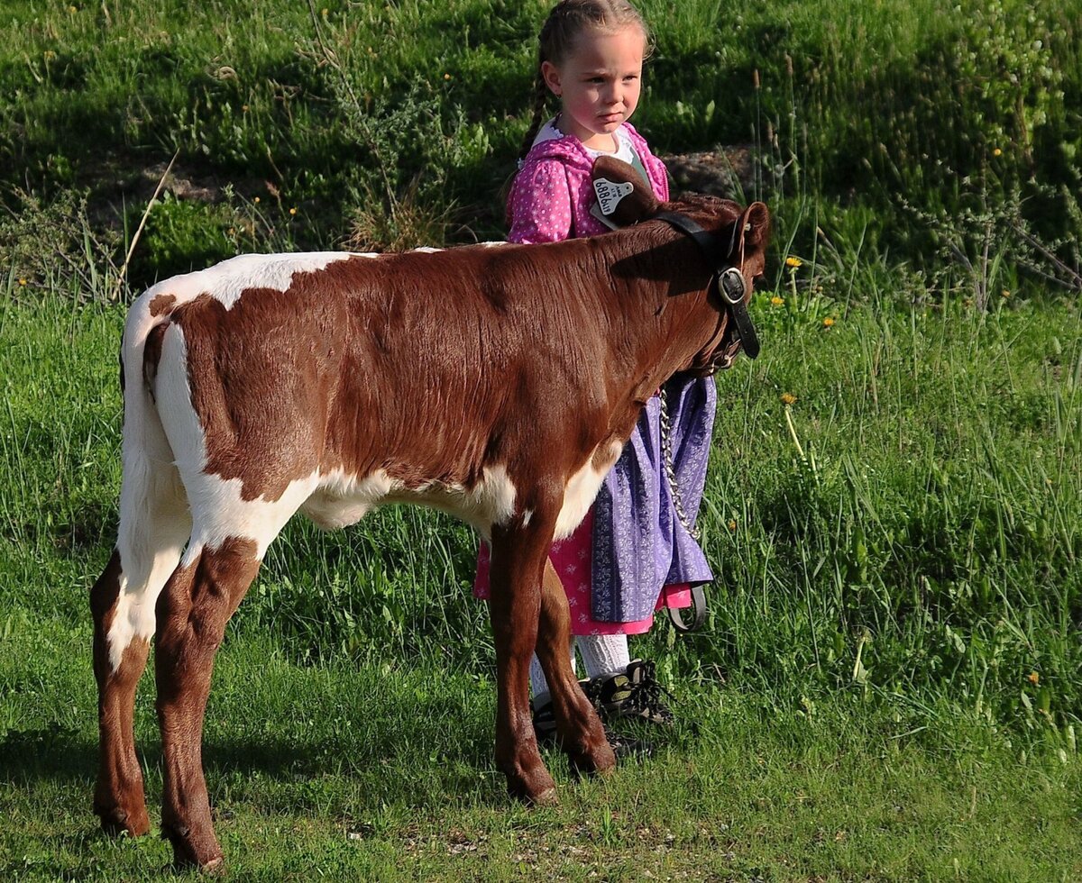 Lena with calf
