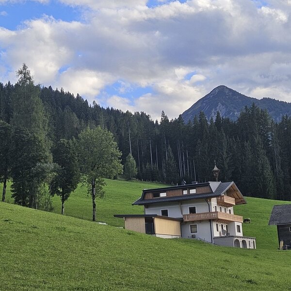house view