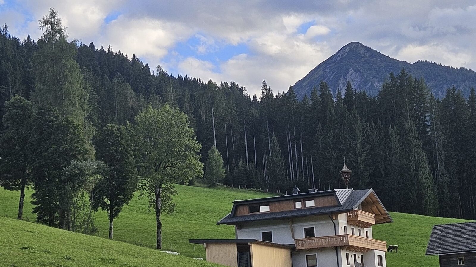 house view