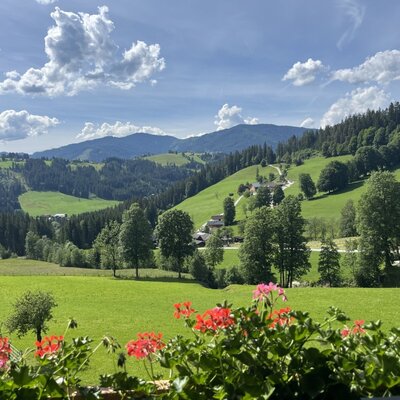 View from the Bauernhof of the surrounding mountains and green landscape with flowers in the foreground.