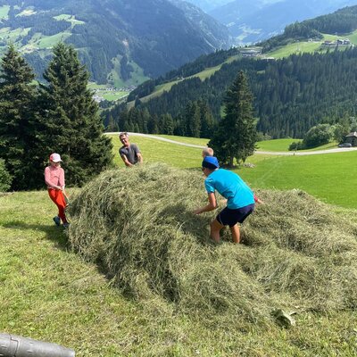 Children and an adult playing with a pile of hay on the grassy grounds of the Farm House, overlooking a mountain valley.