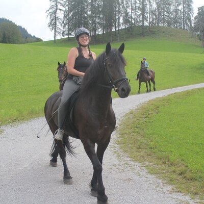 Horse riding is available on the gravel paths surrounding the Farm House.