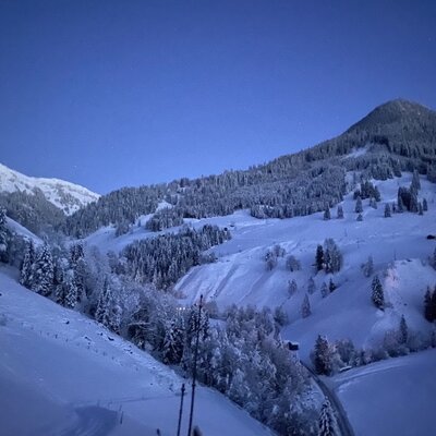 A picturesque winter landscape surrounding the Alm with snow-covered mountain slopes and dense pine forests under a blue evening sky.