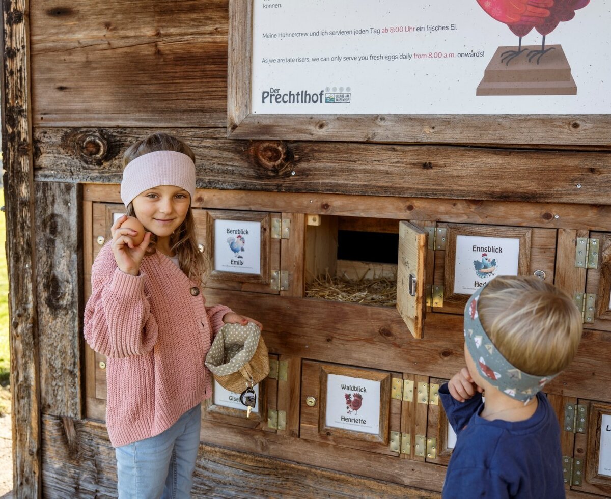Guests can collect fresh eggs daily from 8:00 AM from the farm house's wooden dispenser.