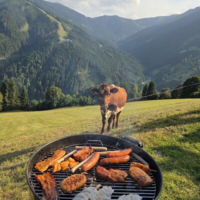 A cozy barbecue on the farmhouse pasture, featuring a sizzling grill and a curious cow against a scenic mountain backdrop.