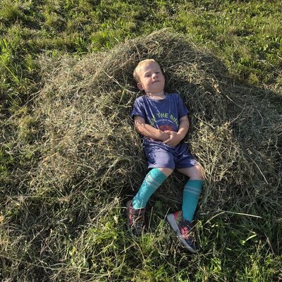 A cozy resting spot in the fragrant hay on the farmhouse's lush green fields.