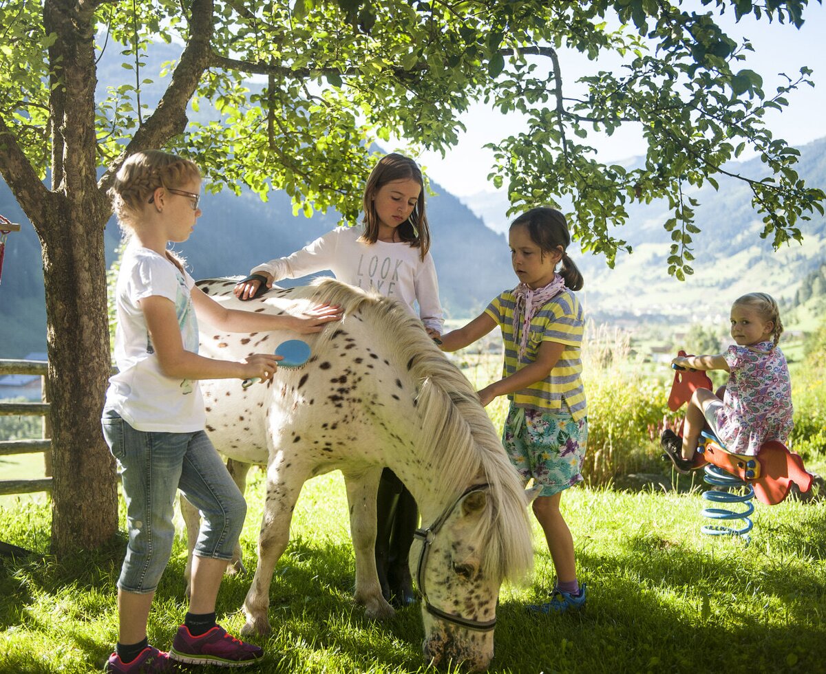 Children interacting with a pony and playing on a spring rider outdoors at the farm house.