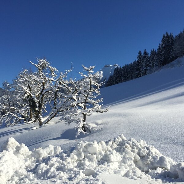 The winter landscape surrounding the farmhouse, featuring snow-covered trees and slopes, is suitable for ski tours and snowshoeing.