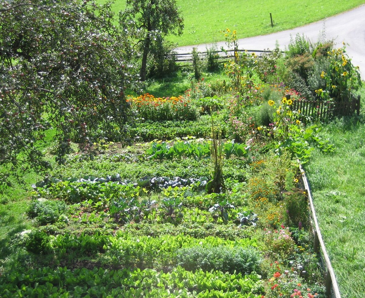 House garden