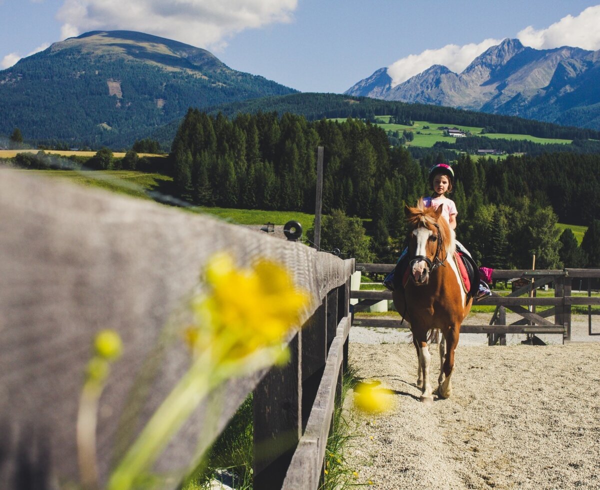 Riding arena