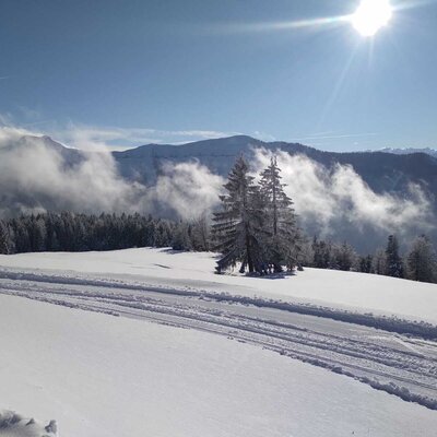 Schoberhütte in winter