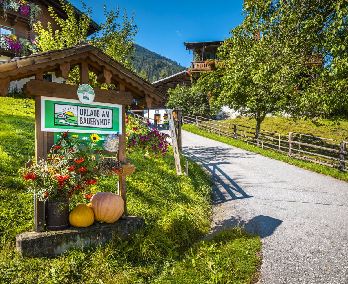 The entrance sign for the farmhouse, decorated with pumpkins and flowers, welcomes guests along the paved driveway to the property.