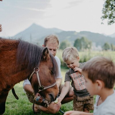 Guests can experience pony rides and feed the animals at the farmhouse, with mountain views.