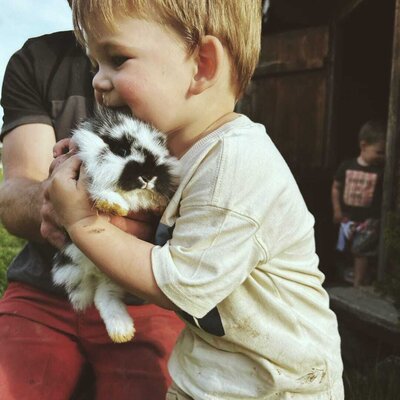 A child holding a rabbit at the farmhouse.