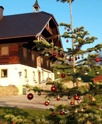 The exterior of the farmhouse, featuring a festively decorated Christmas tree in the front yard.