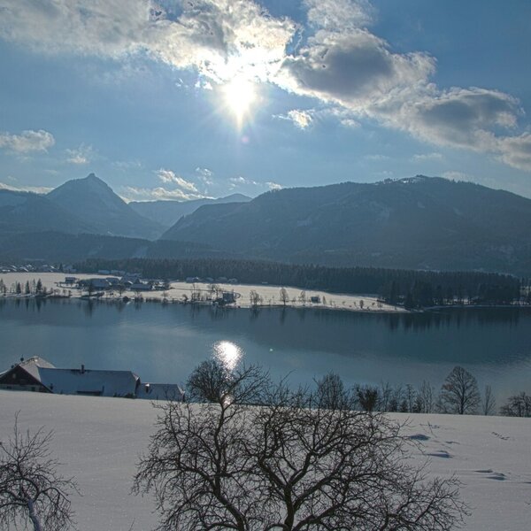 Winter scene
