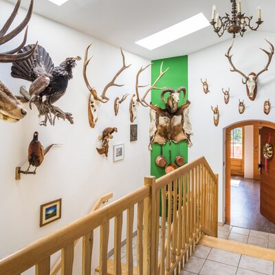 The Farm House features a hallway and wooden staircase adorned with various taxidermy mounts, including deer heads and other animals.