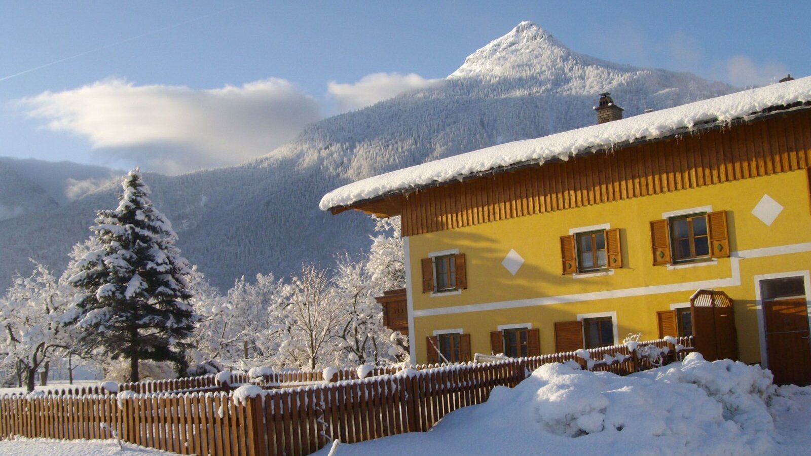 Winter landscape
