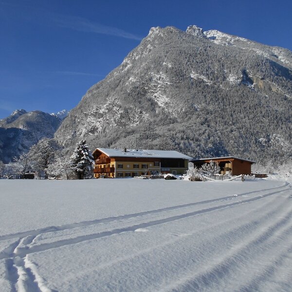 Our farm in Winter Our farm in Winter