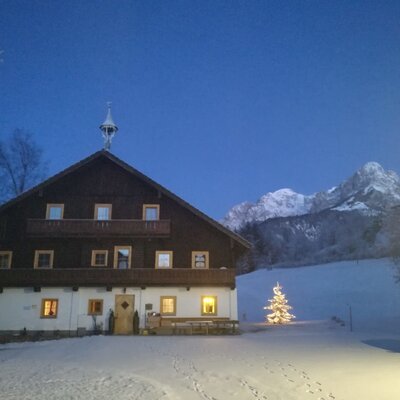 The Steinerhof organic Farm House exterior in winter, featuring illuminated windows, a lit Christmas tree, and snow-covered mountains under an evening sky.