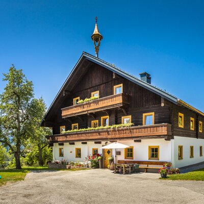 The Steinerhof farm house features a traditional exterior with wooden balconies, outdoor seating, and a children's play area on the lawn, set against a mountain backdrop.