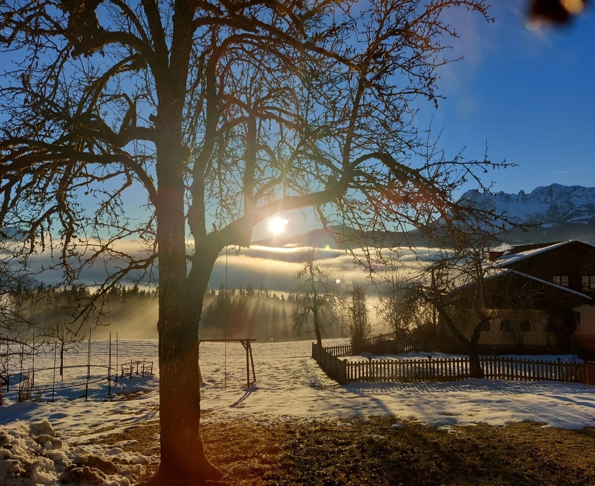 Sunset in winter
