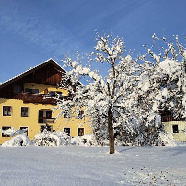 The yellow Farm House exterior with wooden balconies, surrounded by snow-covered grounds and trees, visible under a clear sky. The yellow Farm House exterior with wooden balconies, surrounded by snow-covered grounds and trees, visible under a clear sky.