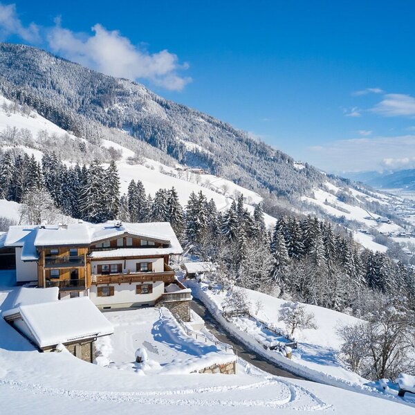 Winter landscape