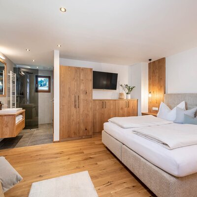 Bedroom in the apartment with a double bed, wooden furniture, television, and an open bathroom area with a shower.